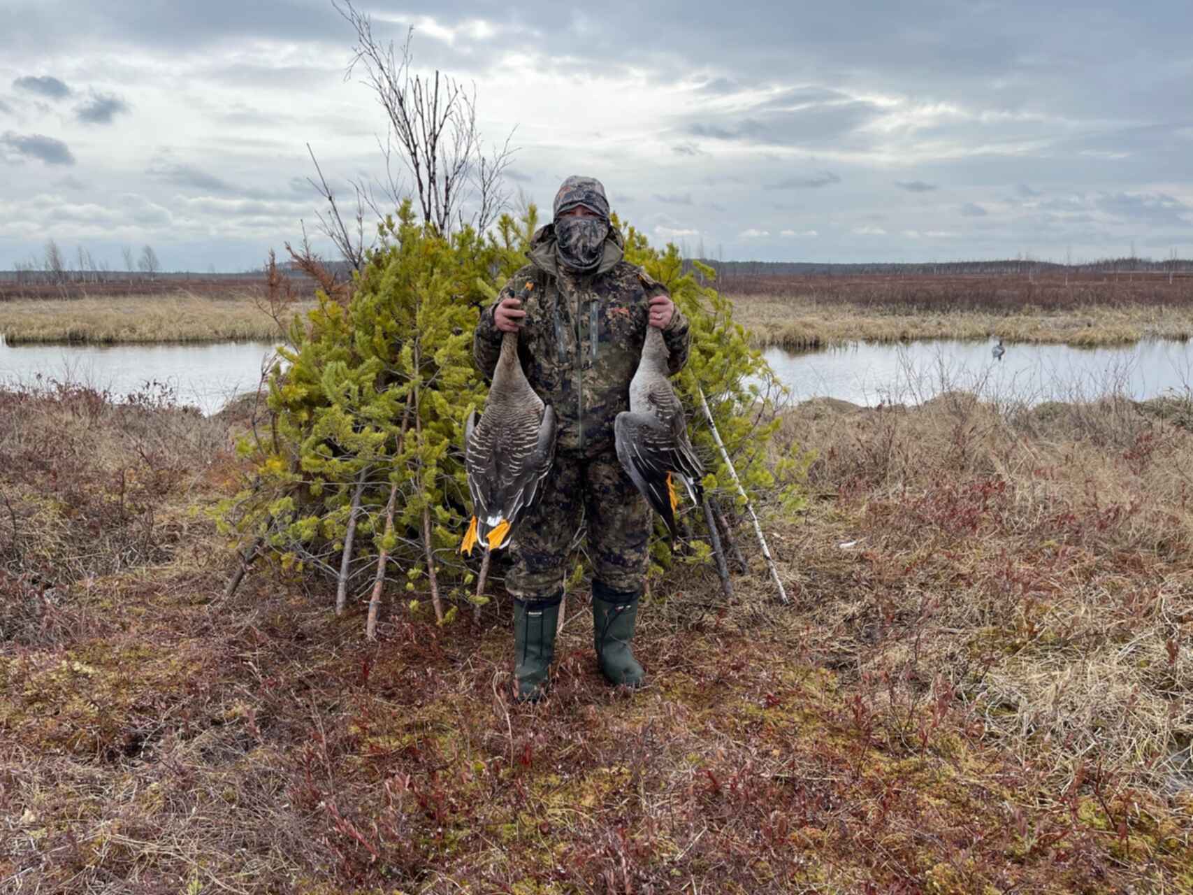 Весенняя охота 2024 башкортостан. Охота на гуся в Якутии 2020. Охота на белолобого гуся с засидки.