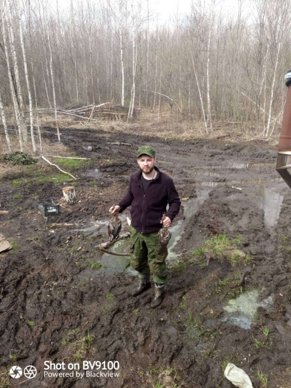 Погода в туголесском бору на 14 дней