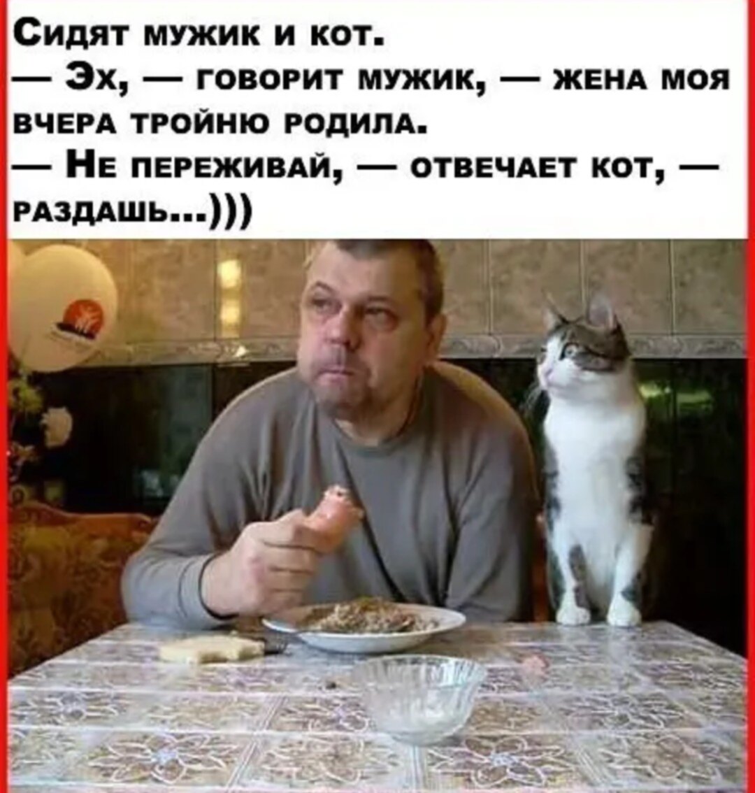 Не переживай за чужое. Жена тройню родила не переживай раздашь. Жена вчера тройню родила раздай кот. Мужик сидит с котом. Не переживай раздашь.