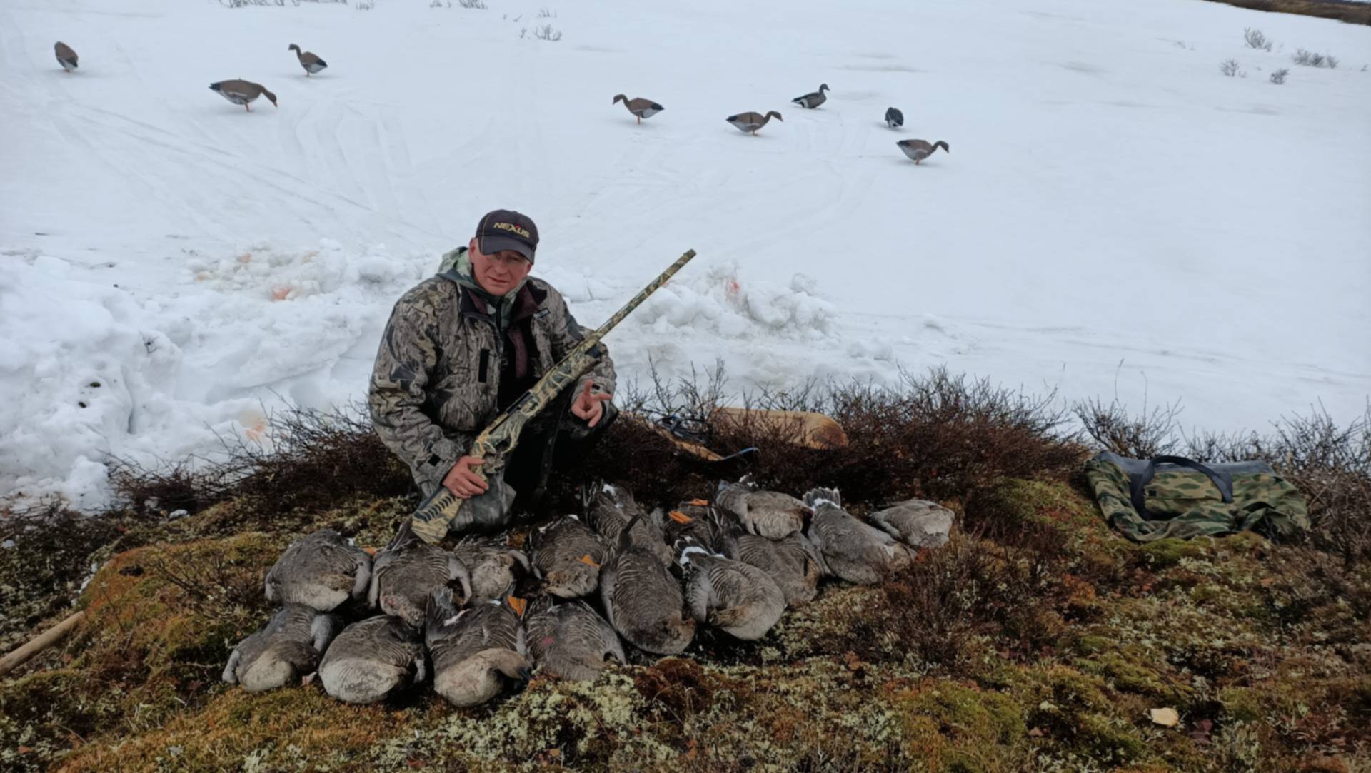 Охота на гуся в Коми 2021. Коми охотник фото. Полет гуся в Коми на 22 год. Охота коми 2024