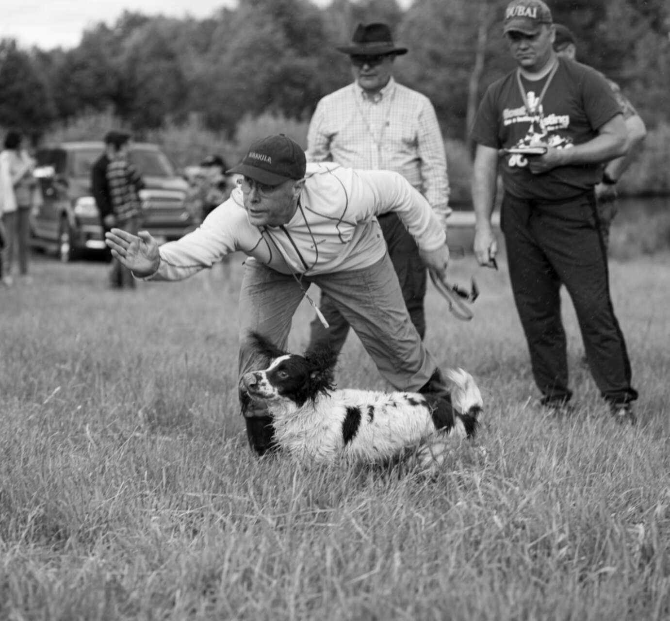 Field trials. Haуdее Ваldis field Trial. Alsheim Hunt Dogs.