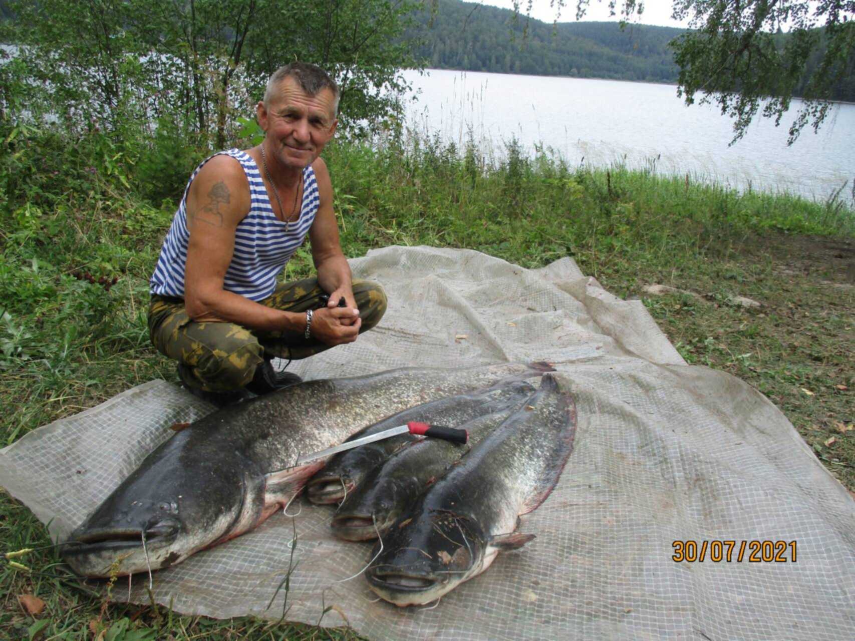 Рыбалка в липецкой сом