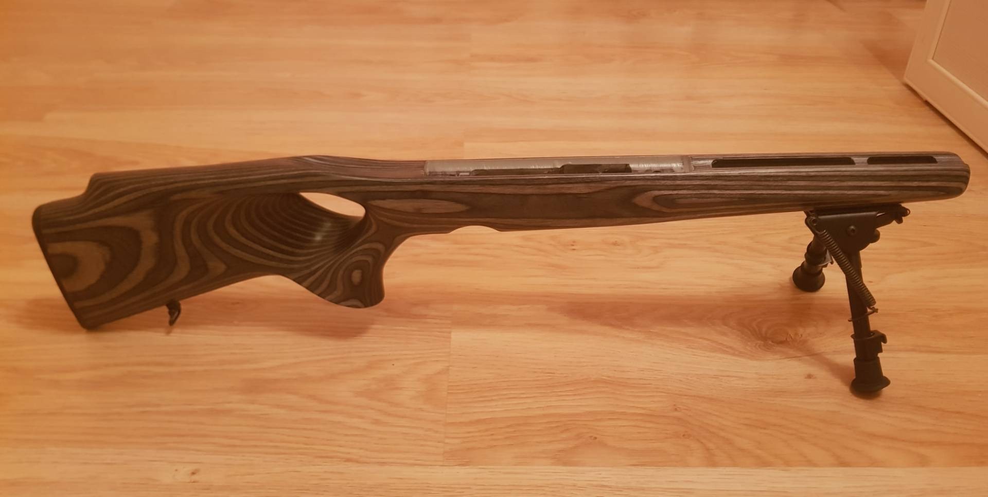 ложе соболь. янтарь в прикладе. ложе соболь. ложе соболь. ложе для соболь 22lr.