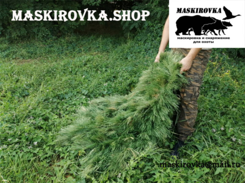 Значение слова маскировка. Скрадок землянка. Маскировка текста. Умс это маскировка. Маскировка текста.