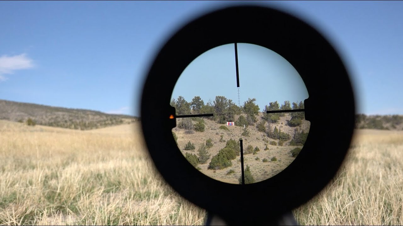 Штатный прицел ауг. Прицельная сетка g36. Прицел sig sauer. Прицел оптический acecare сталкрафт. Sig sauer tango 6t.