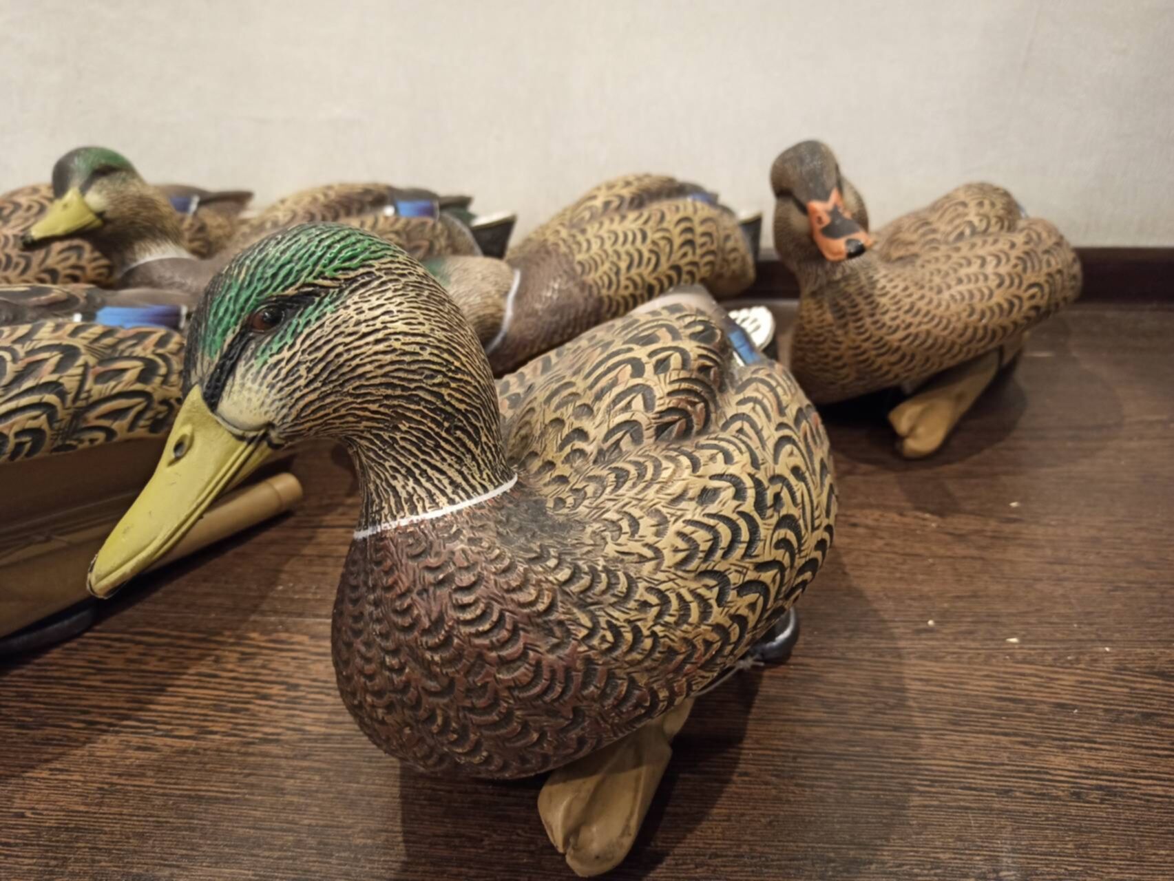 утки на продажу. Greenhead phuket магазин. Greenhead phuket. утка продам. чучело утки кряквы.