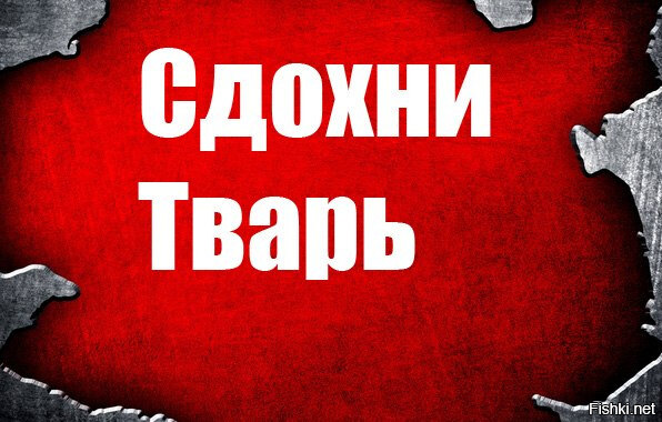 Че зыришь. Что он несет мем. Че ты высрал. Картинка че зыришь. Шварценеггер хищник мем.