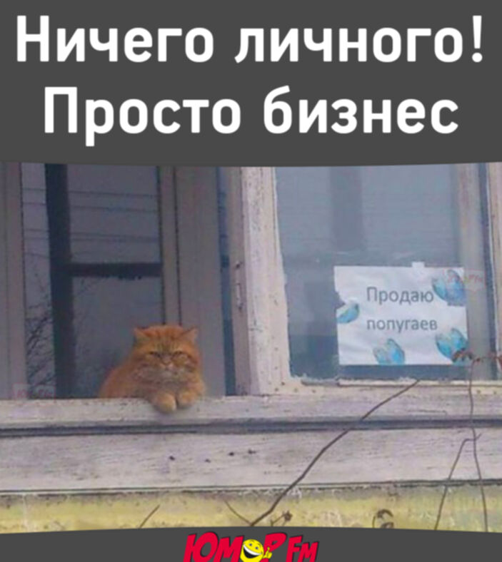 Ничего личного картинки