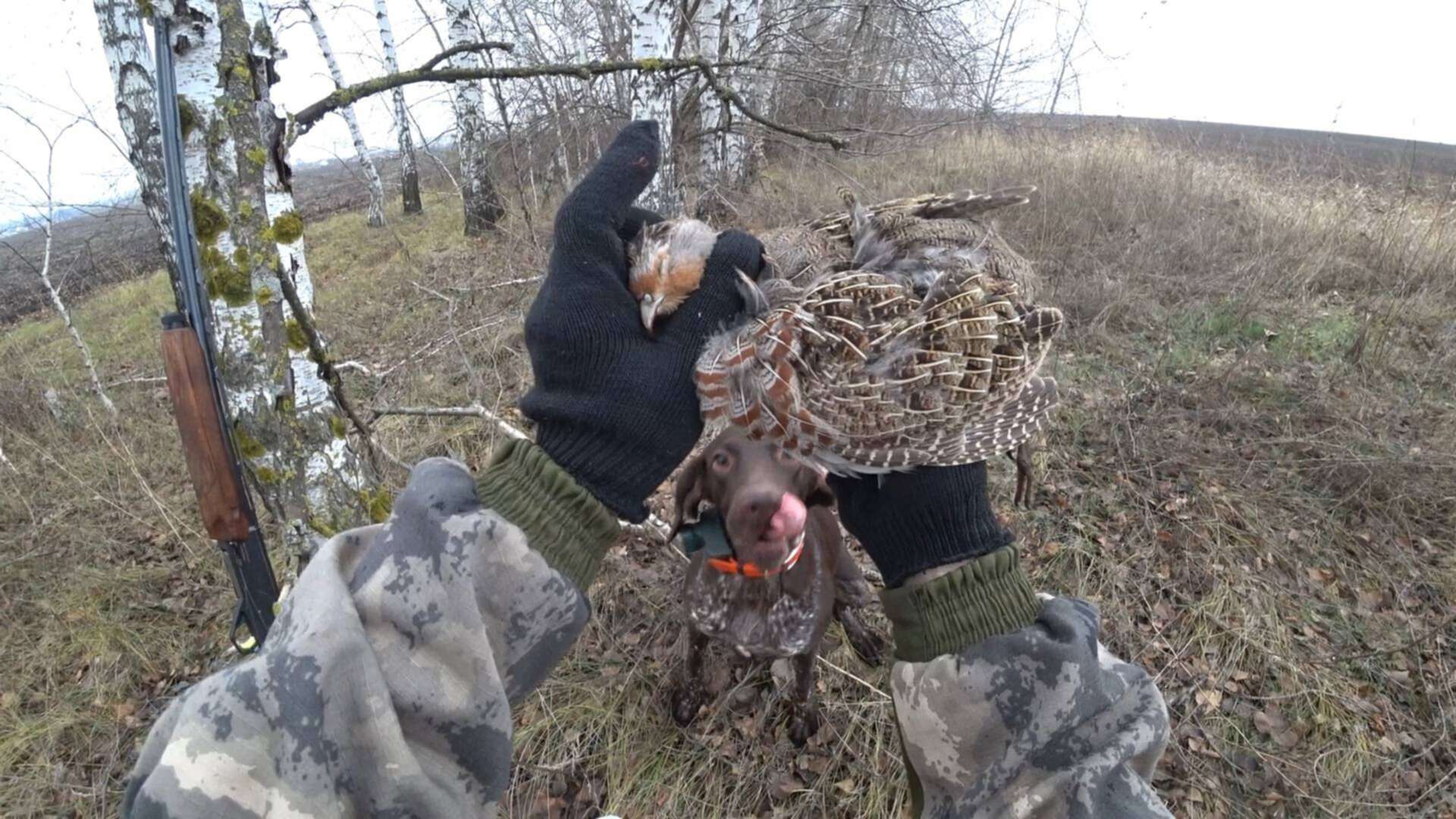 Охота на квадроцикле на зайца