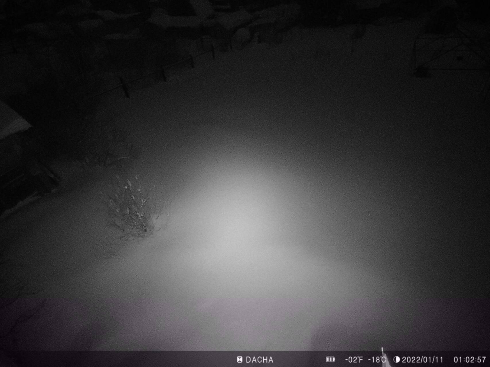 Фотоловушка 2g Фотоловушка 2g