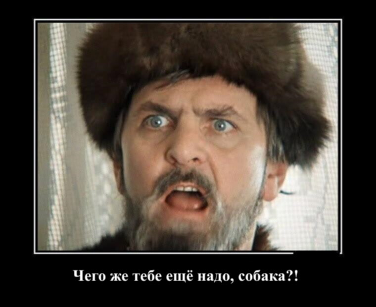 Что тебе еще надо собака мем