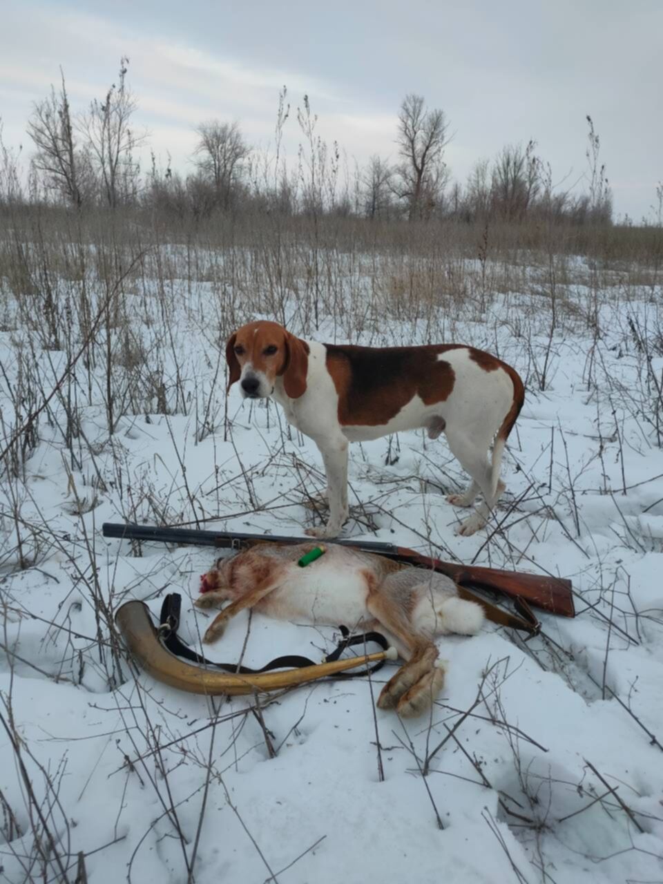 Охотничья Заимка Омск