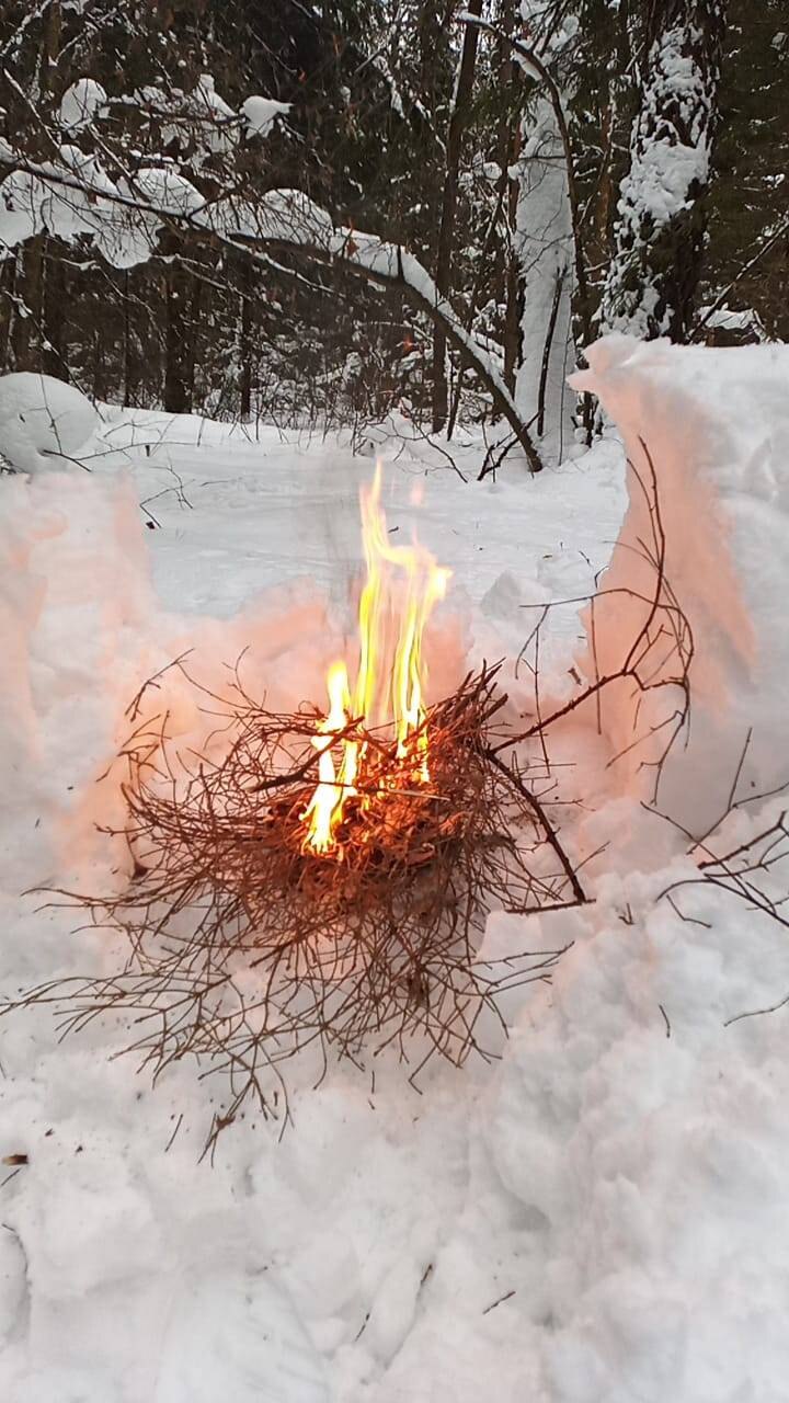 Огонь в зимнем лесу