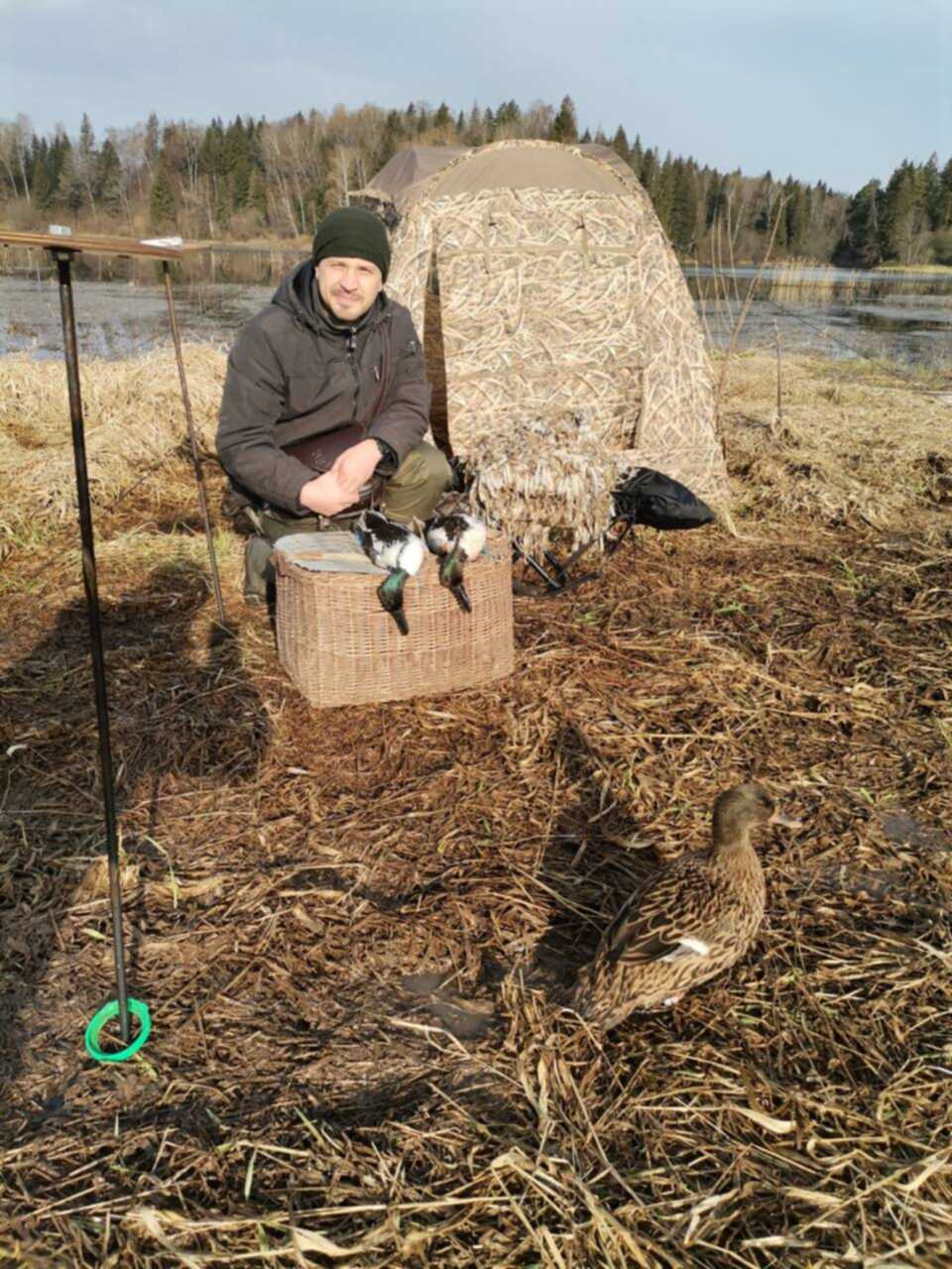 Плотик для подсадной утки. Ящик для подсадной утки. шалаш для охоты с подсадной уткой весной.