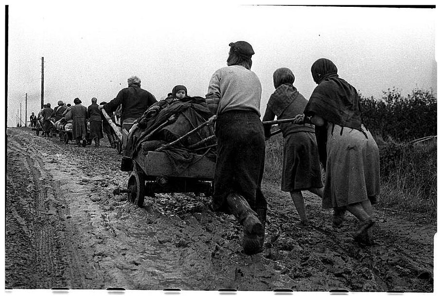 Презентация дети в годы войны 1941 1945. Презентация "Дети - герои Великой Отече