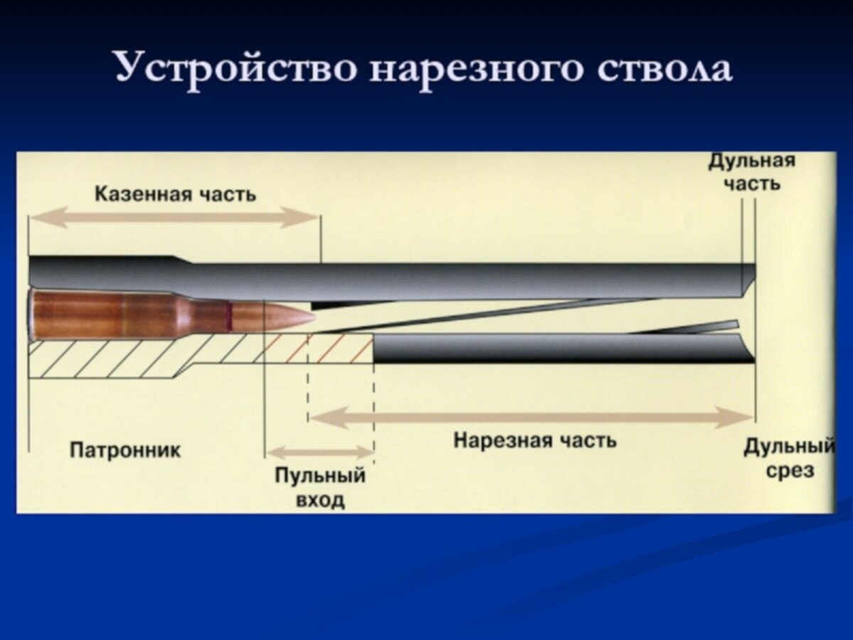 Поперечное сечение ствола нарезного оружия