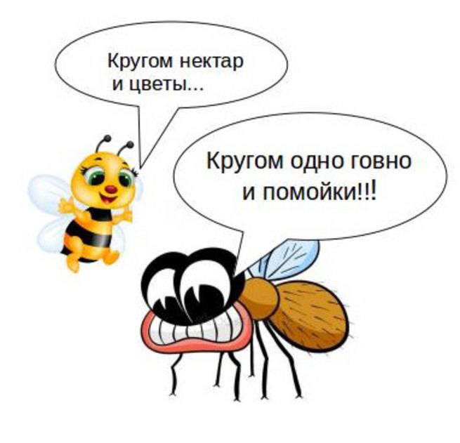 Скачай это бесплатное Фото на тему Муха мем и открой