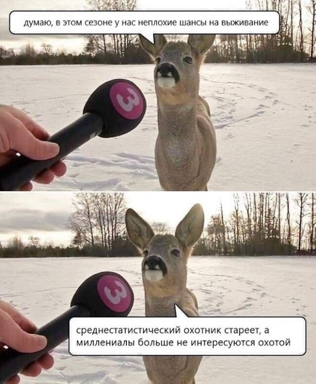 Мем про оленя и девушку