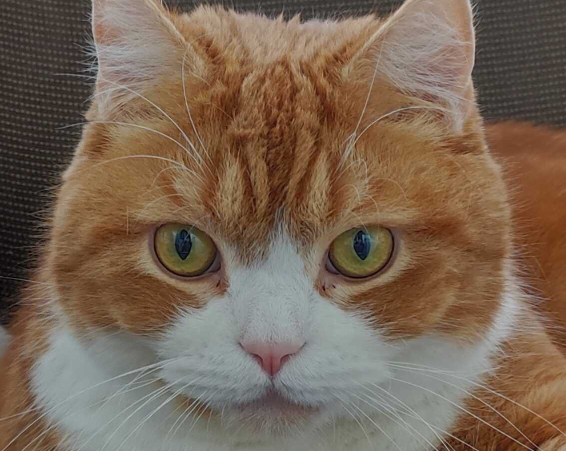 Который там надо