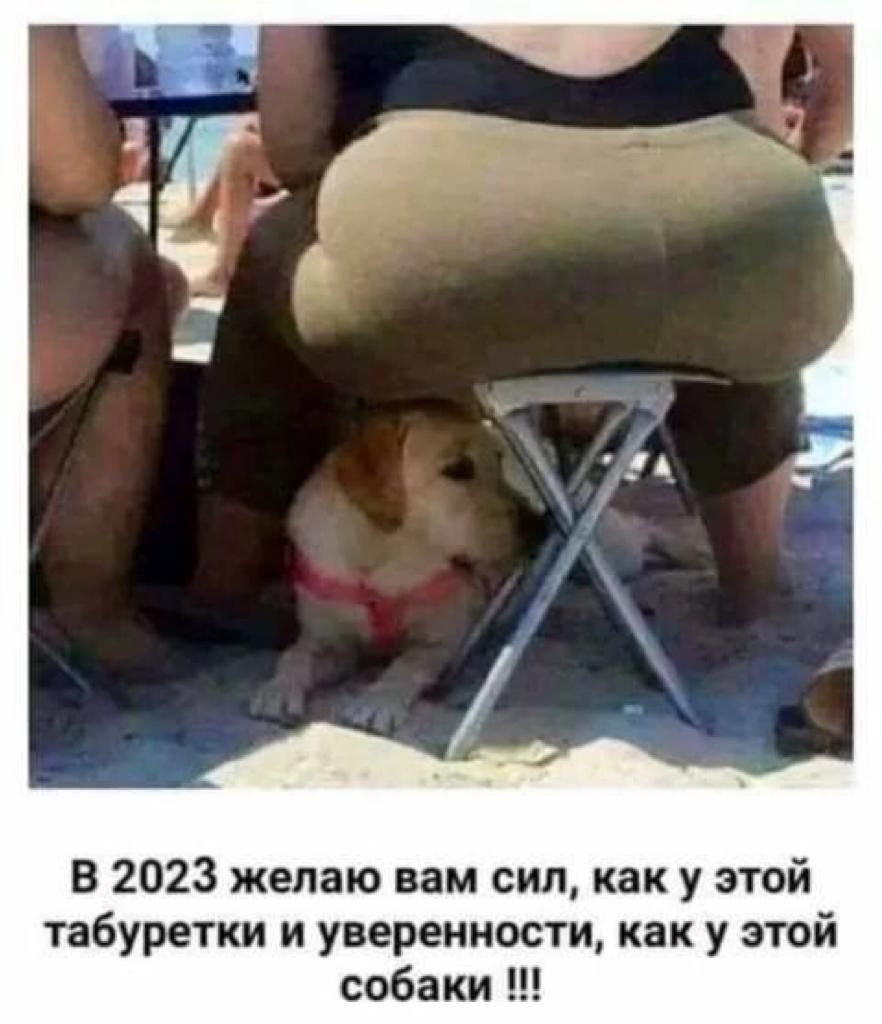 Приколы 2023 года картинки