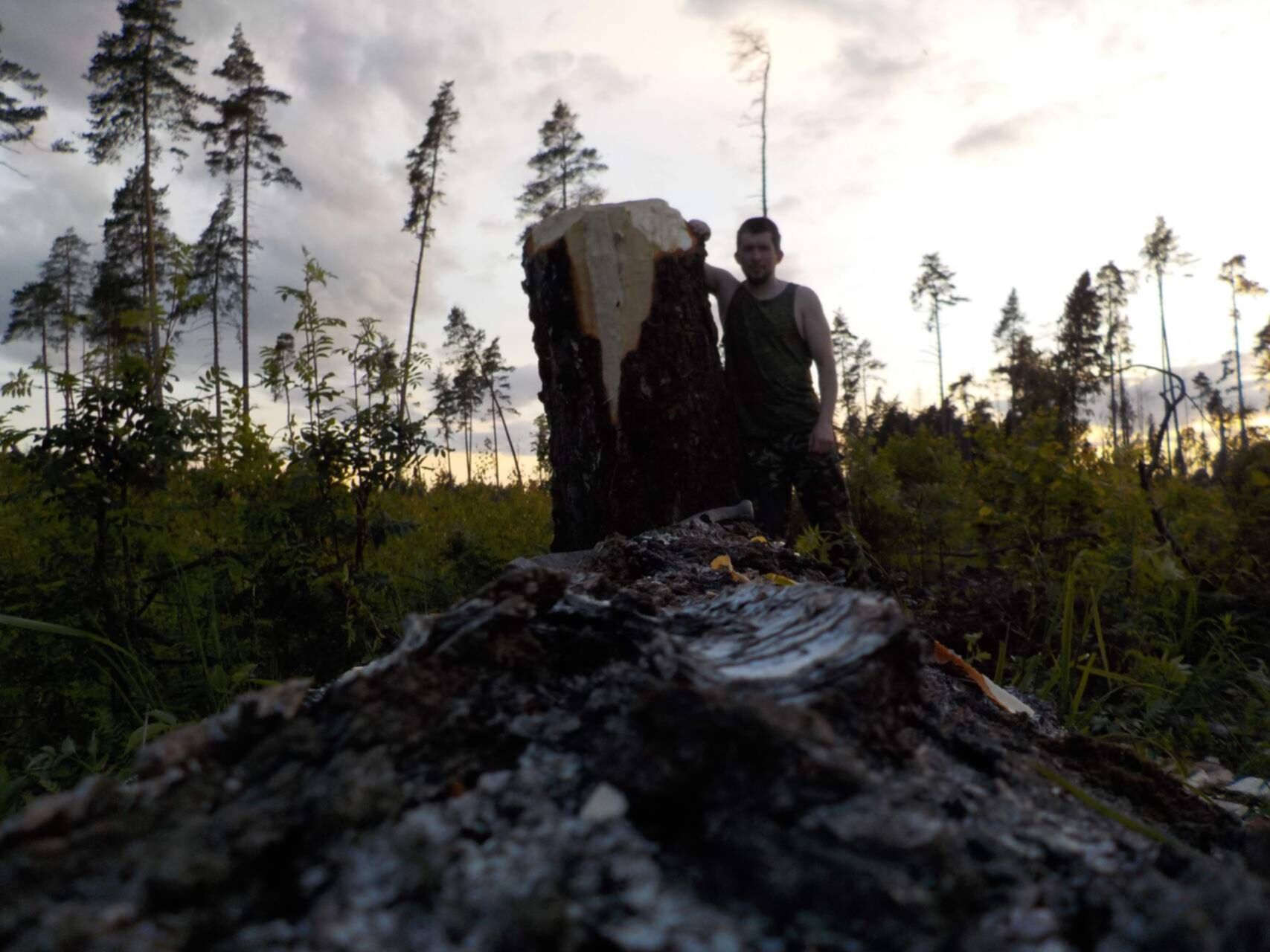 выживальщик 2021