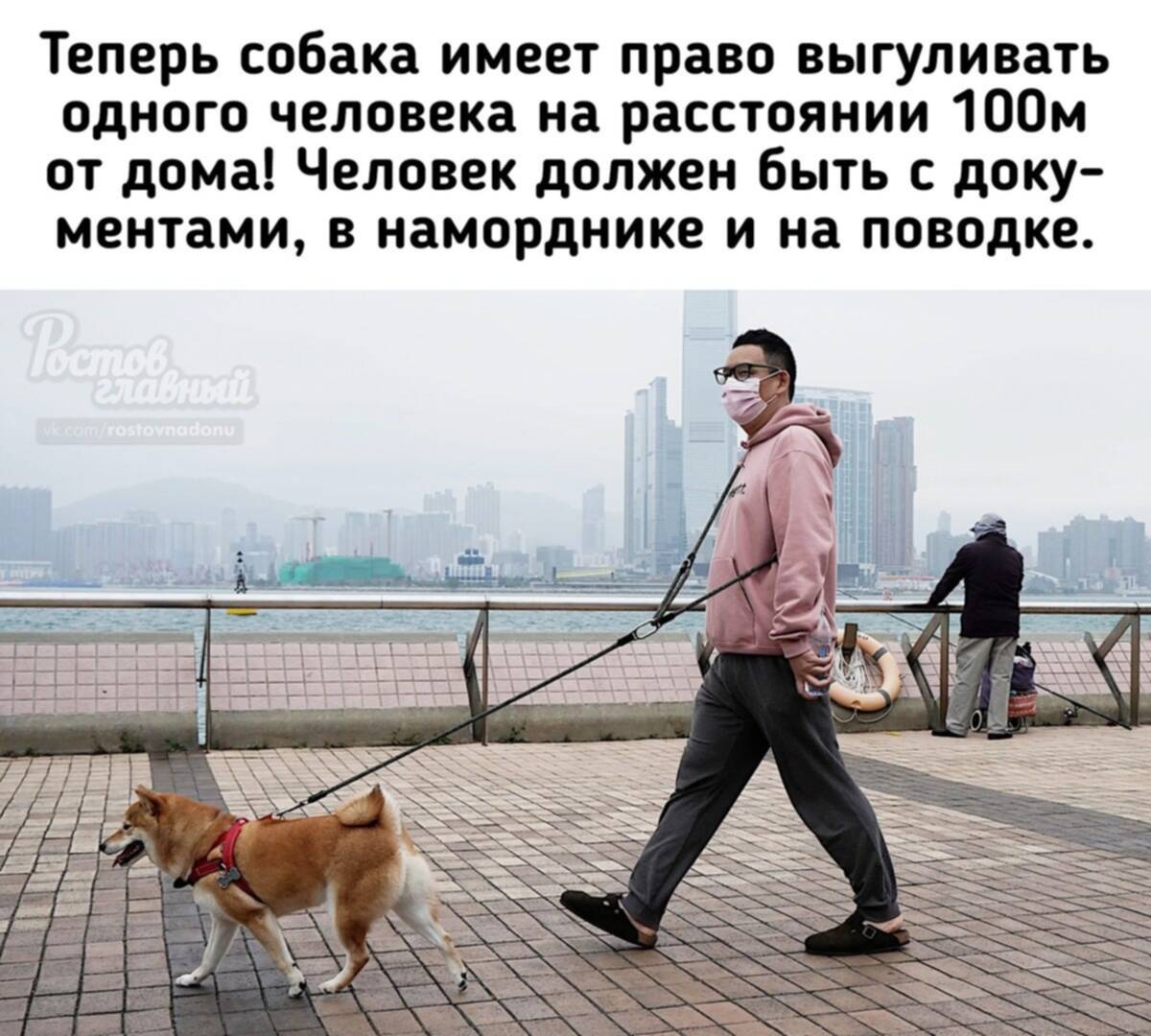 Муж гулял гуляет и будет гулять. Человек выгуливает собаку. Выгул собак. Человек с собакой на поводке. Поводок для собак.