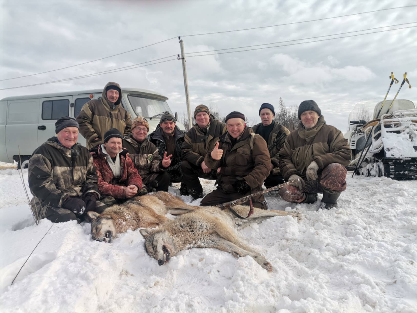 Где сейчас находятся волки