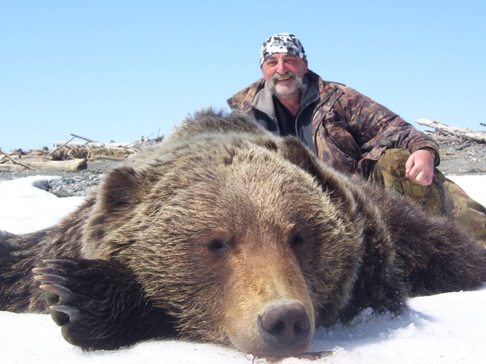 Скорость сибирского медведя. Лисинский медведь. Огромный медведь охота.