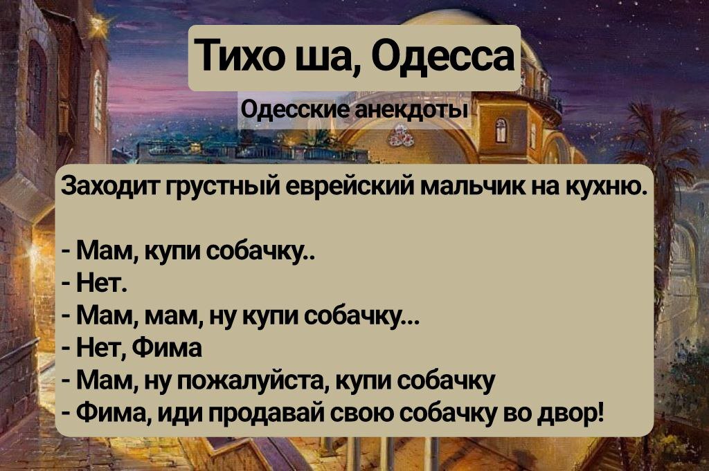 Тихо ша одесситка. Тихо ша Одесса анекдоты. Еврейские анекдоты. Анекдоты про евреев. Еврейский юмор и анекдоты.