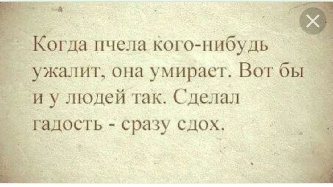 Человек говорит гадости. Кто то делает гадости. Пакости и гадости. Гадость цитаты. Кто то делает гадости.
